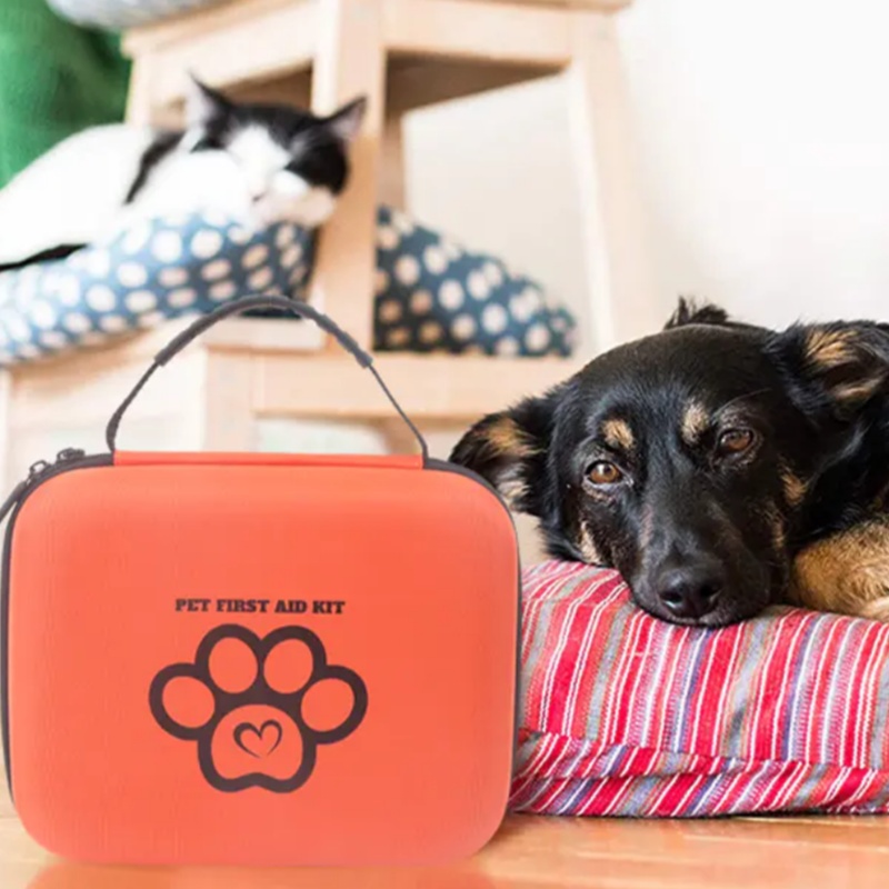 Pet First Aid Kit für Katzen gegen Hunde: Was Sie wissen müssen