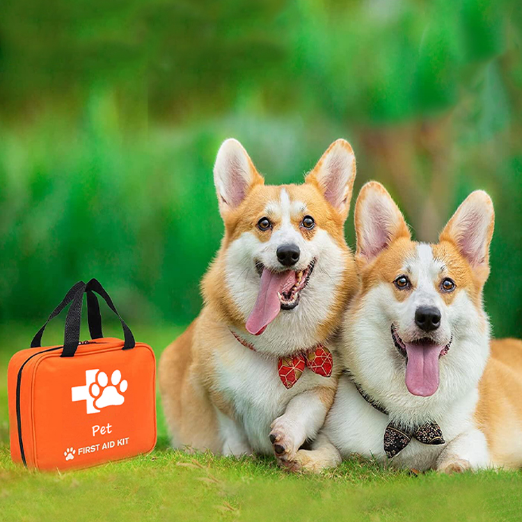 Tragbare Tierpflege-Reitsport-Notfallmedizin-Erste-Hilfe-Set-Tasche für Haustiere, Hunde und Katzen, Pferde, Haustier mit Colla, Reise-Notfälle